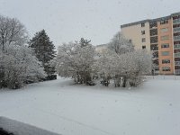 20230308_111213.jpg