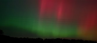 20241010_224611.jpg
