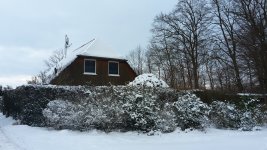 Haus Winter 2026 e.jpg