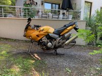 IMG_5197.jpeg