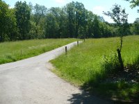2019-06-02-Westerwald-1-P1050340.jpg