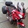 testo