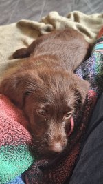 2024-05-26 17.29.32.jpg