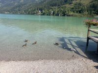 20240816094214_SCENIC.jpeg