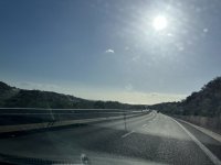 IMG_3334.jpeg