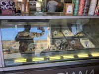 IMG_3400.jpeg