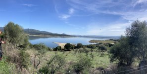 IMG_3431.jpeg