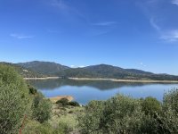 IMG_3433.jpeg