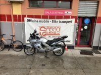 IMG_3491.jpeg