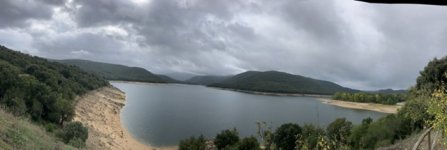 IMG_3528.jpeg