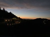 IMG_3537.jpeg