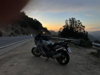 IMG_3538.jpeg