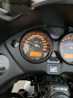 IMG_3544.jpeg