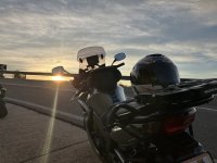 IMG_3563.jpeg