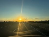 IMG_2616.jpeg
