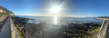 IMG_2732.jpeg