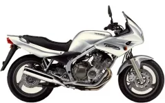 Yamaha-XJ600-Diversion.jpg.webp